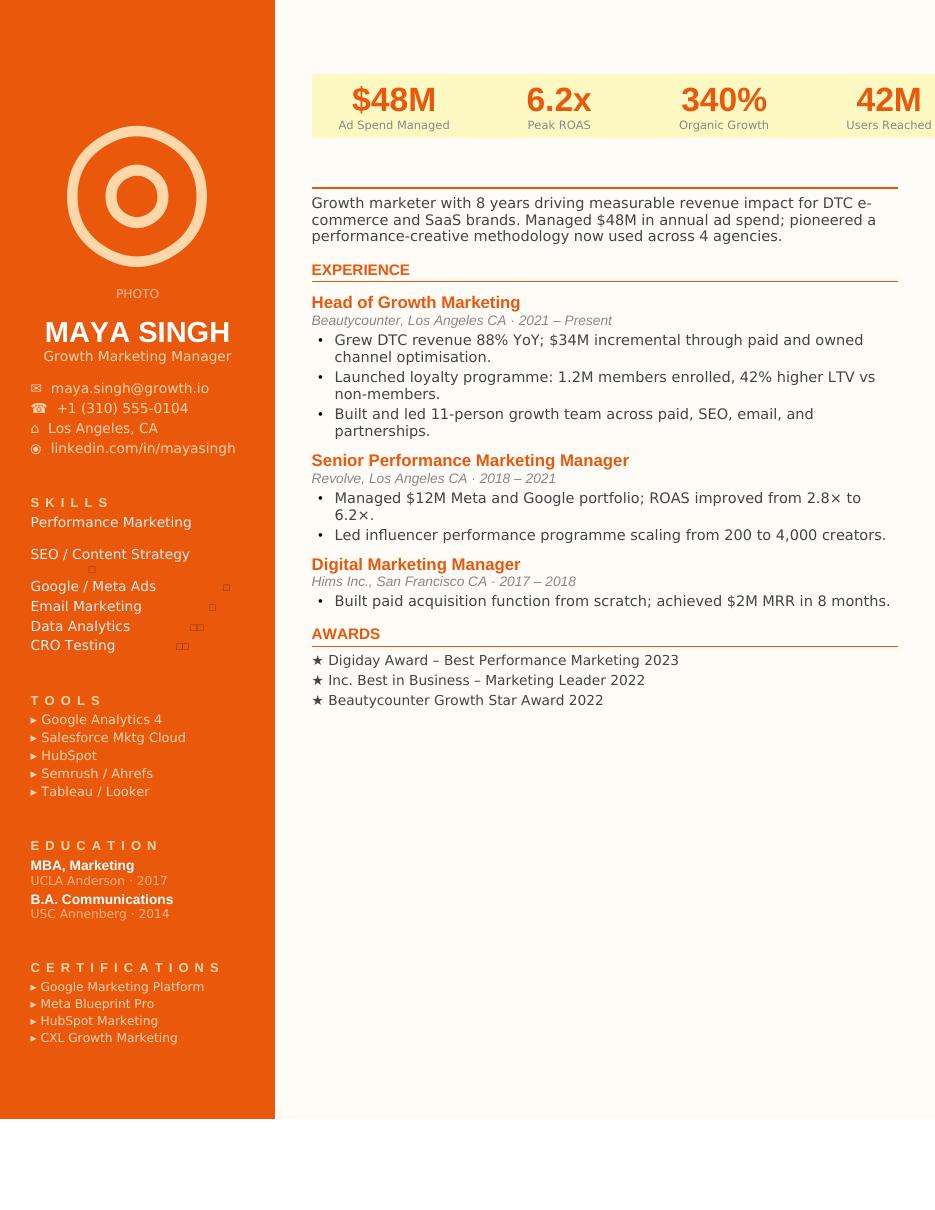 Data-Driven Marketing CV template preview