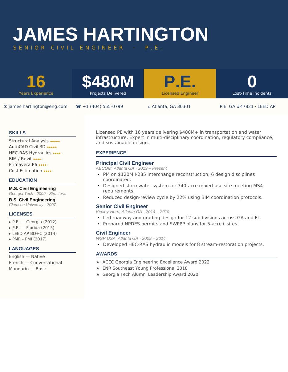 Stat Bubbles CV template preview