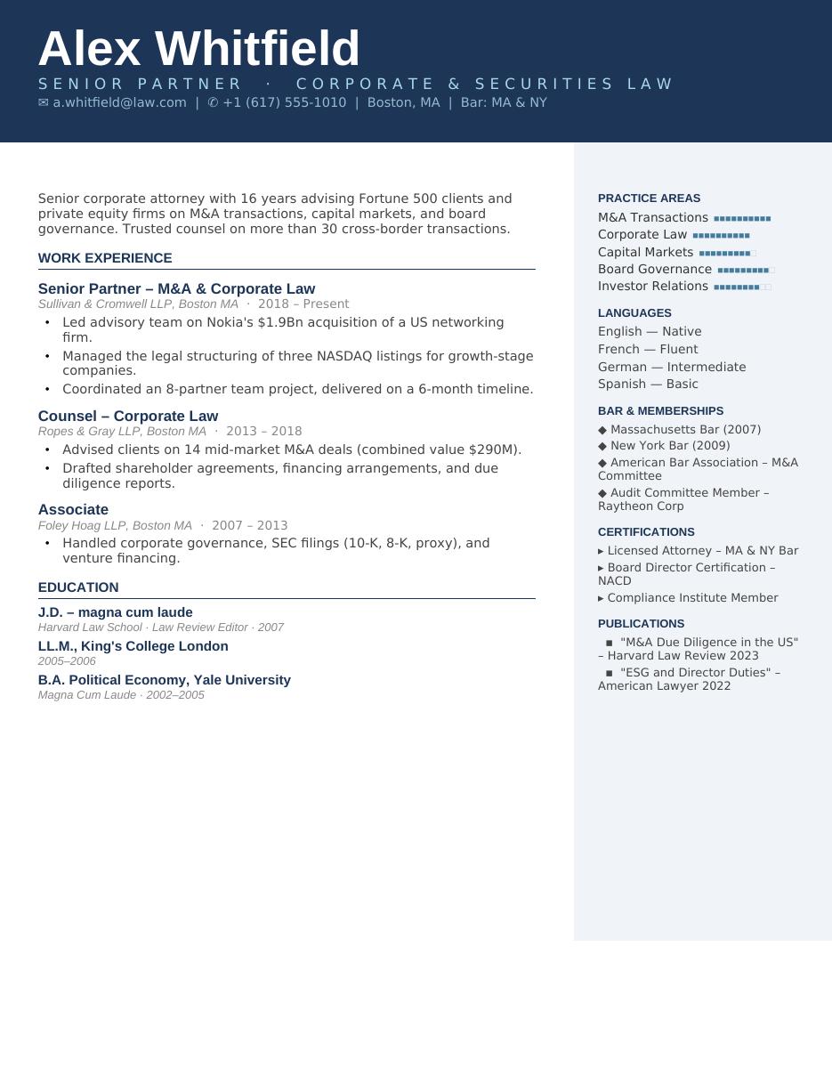 Steel Corporate CV template preview